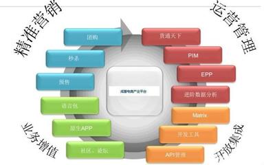電商運營高手為何不自創(chuàng)品牌？解析平臺開發(fā)與運營的深層邏輯