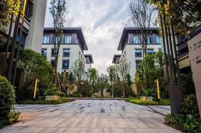 渝中區瞄準“互聯網數據服務”新藍海，擘畫四年400億大數據智能化產業藍圖